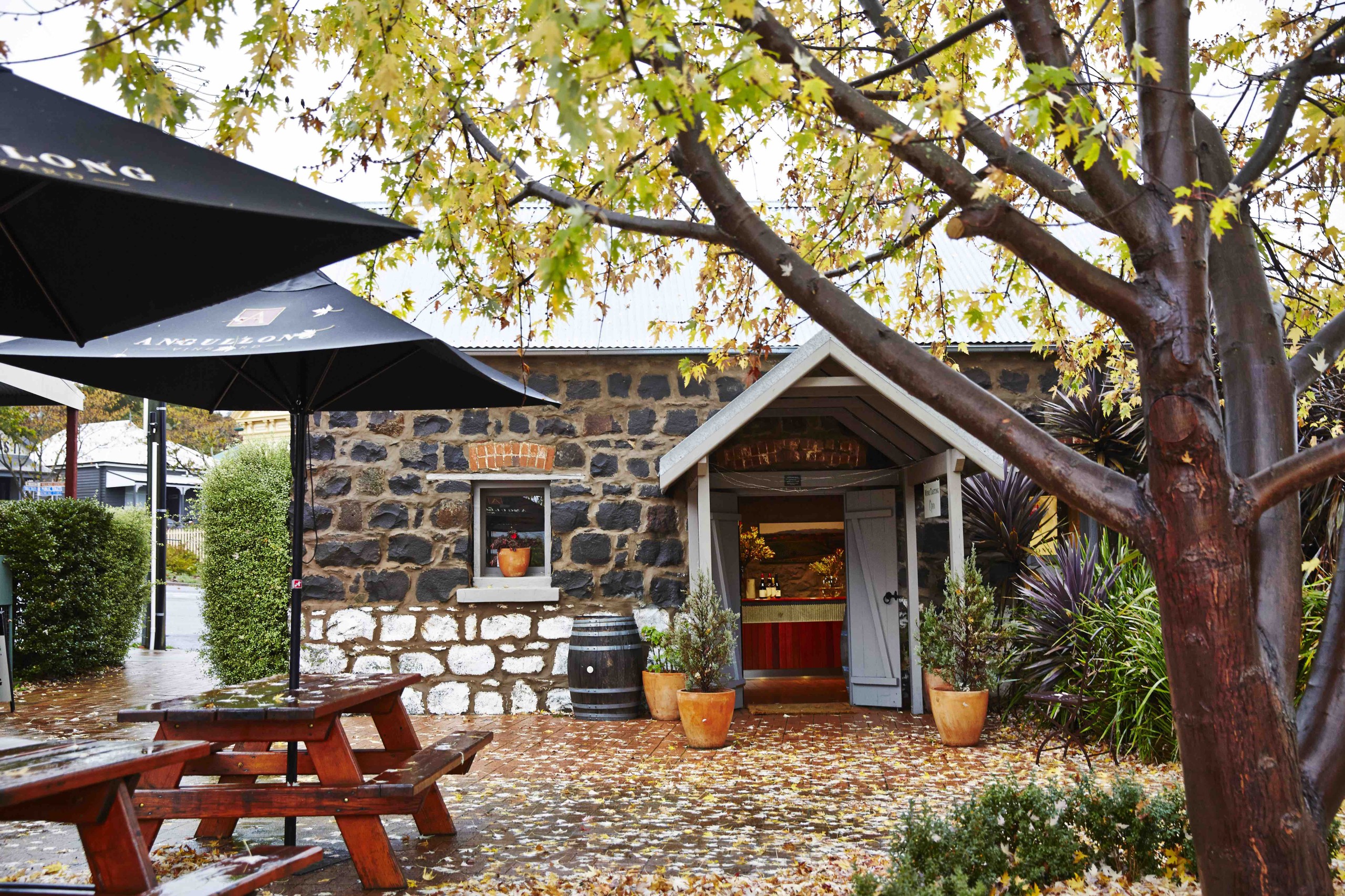 Angullong, Wine, Millthorpe, Flavours of NSW, Central Ranges, Amanda Davenport