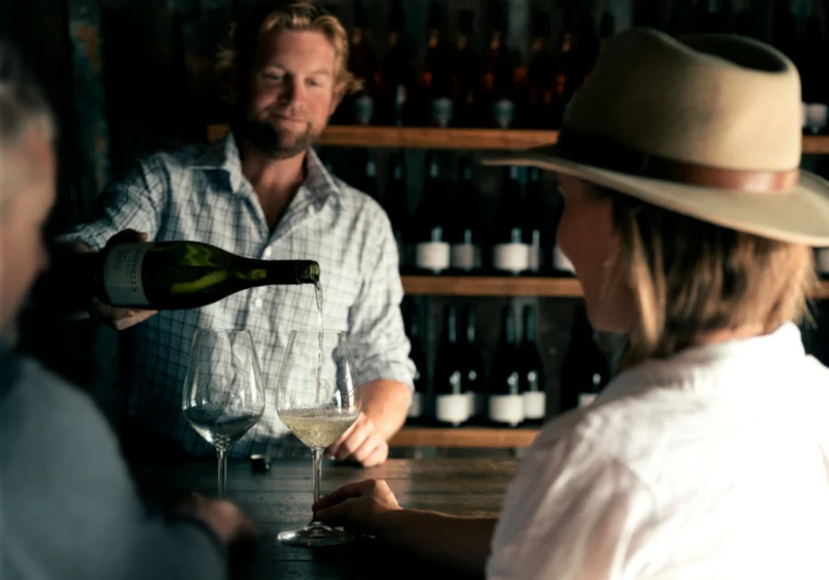 Dan-serving-Boydells-Wines-in-Cellar-Door-914